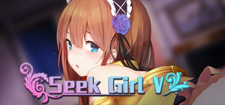 Seek Girl V poster