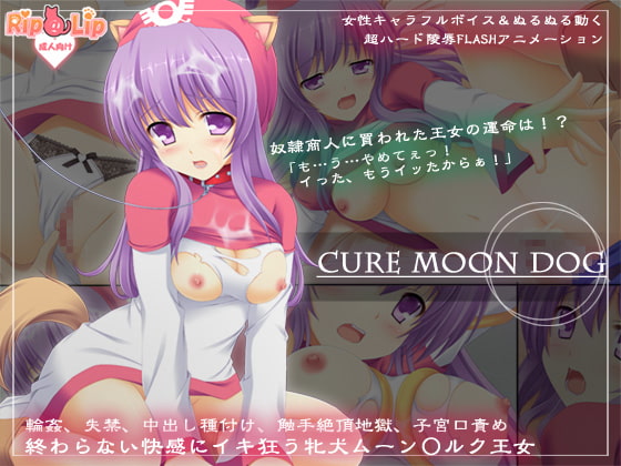 cure moon dog poster