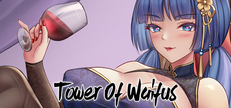Tower of Waifus poster