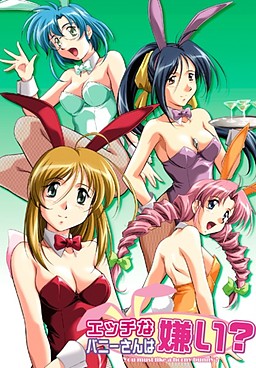 Ecchi na Bunny-san wa Kirai? poster