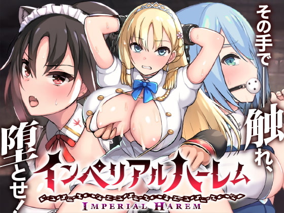 Imperial Harem ~Molesting and Corrupting SLG~ poster