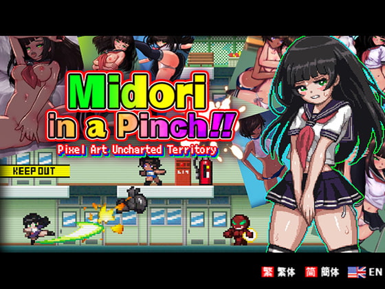 Midori in a Pinch!! ~Pixel Art Uncharted Territory~ [Multilingual Ver.] poster