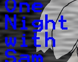 One Night with Sam poster