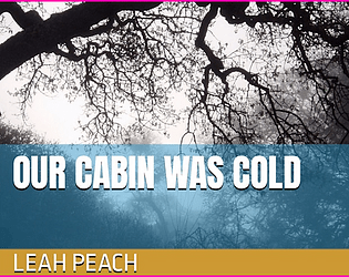 Our Cabin Was Cold poster