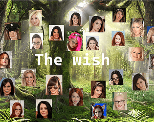 The Wish poster