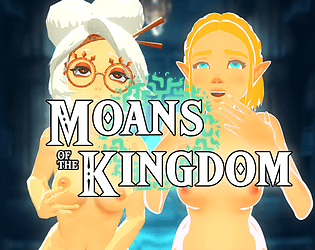 Zelda : Moans of the kingdom poster