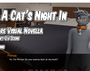 A Cat's Night In poster