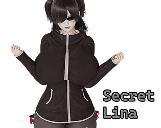 Secret Lina poster
