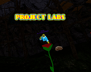 project labs poster